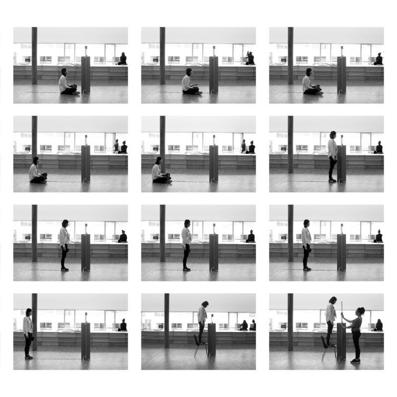Apolline Chartier-Kastler, A room to observe a Statue, 2015.