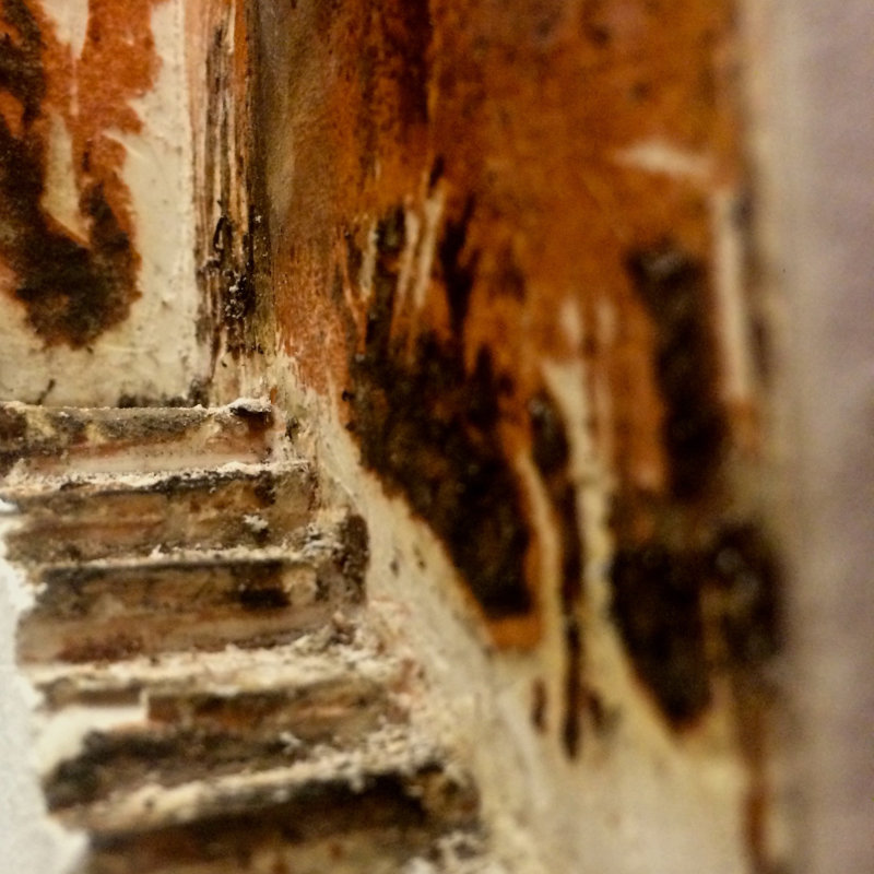 Julia Martignoni, Stairs through a Maze, 2014.