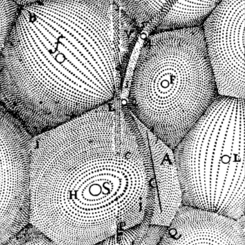 1644, rené descartes, vortices in principia philosophiae.
