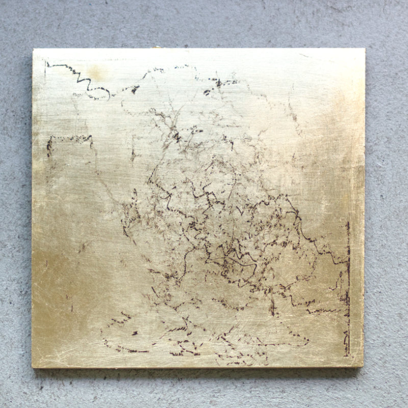 plate 1.