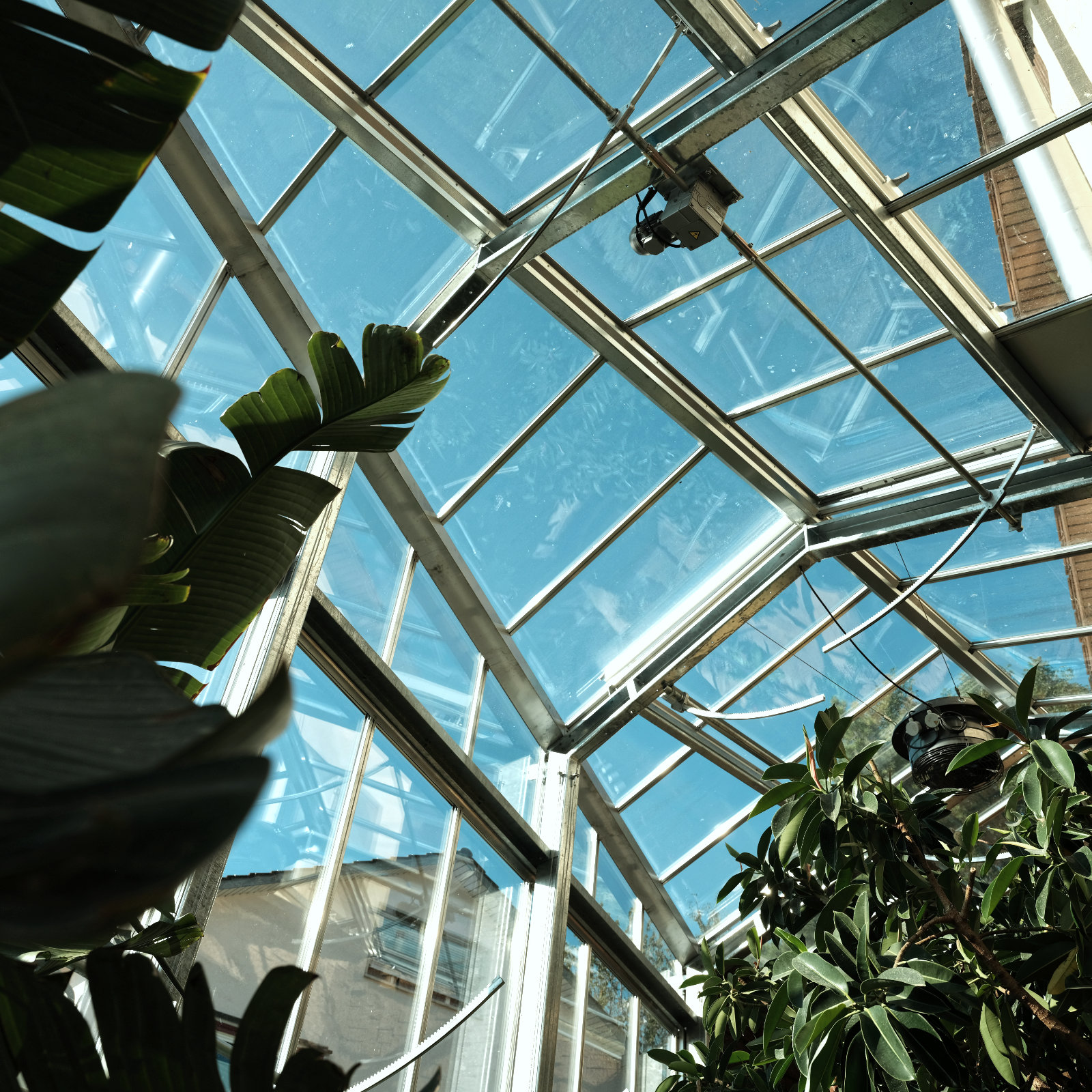 Struktur Wintergarten.