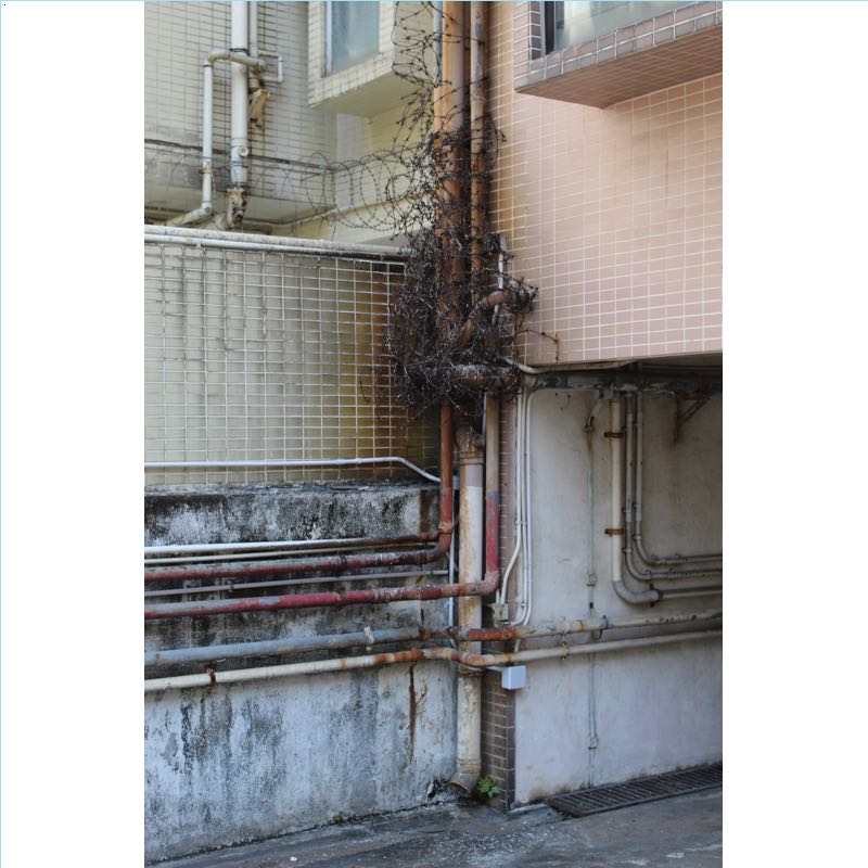 Site Photography by Kent Mundle