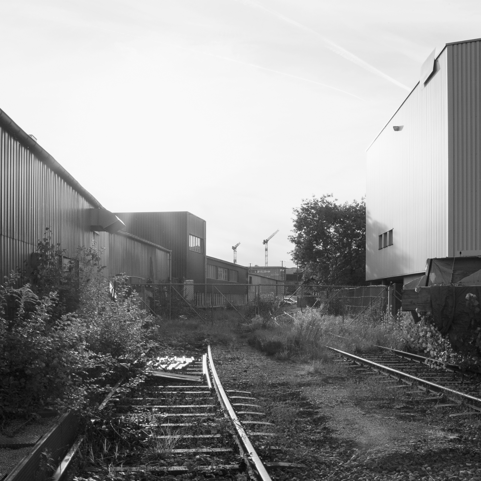 Site (©Daniel Sutter).