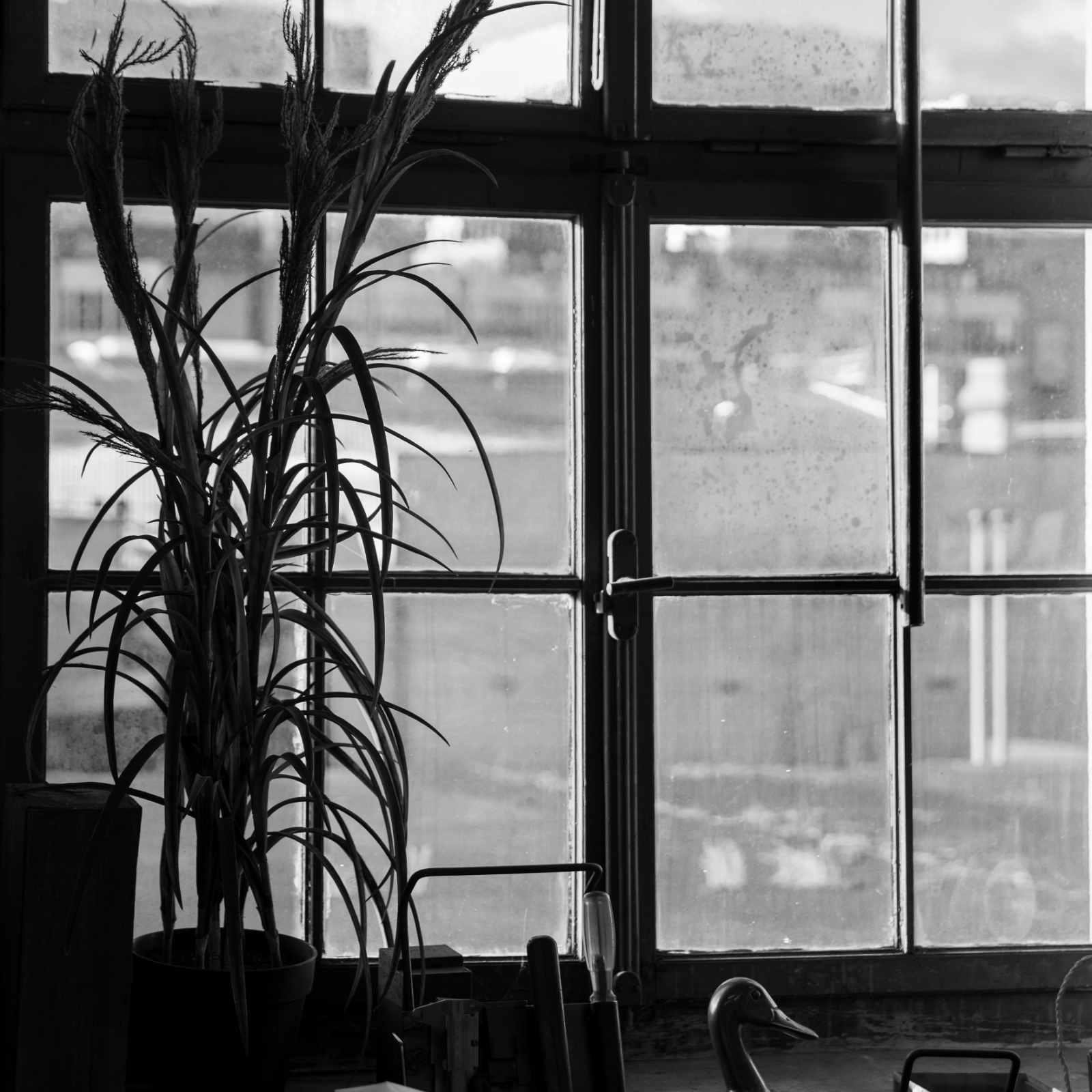 Site (©Daniel Sutter).