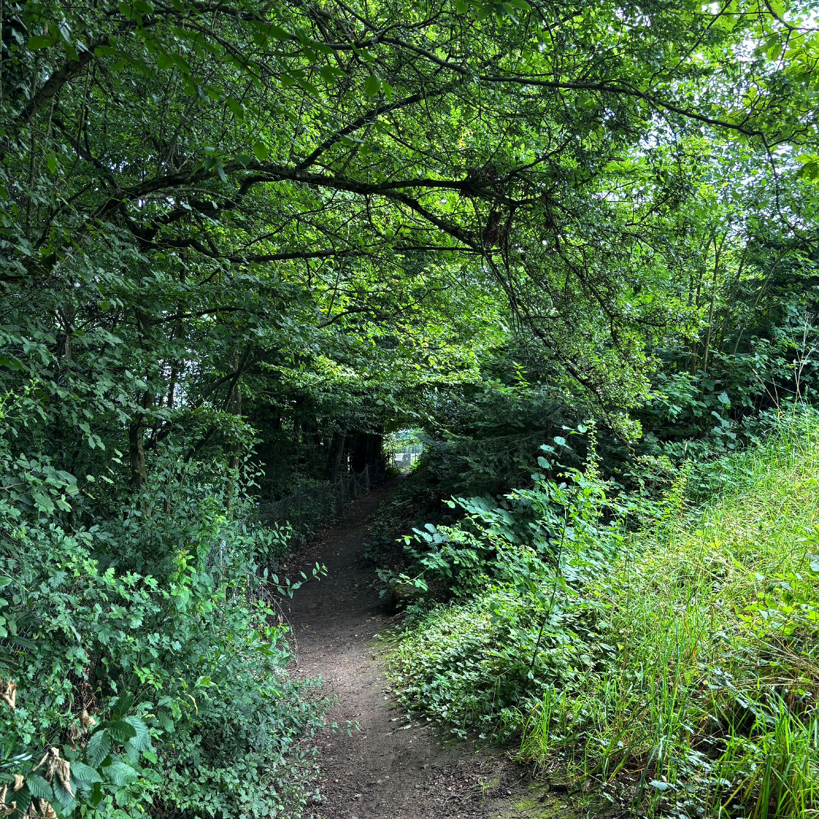 Site.