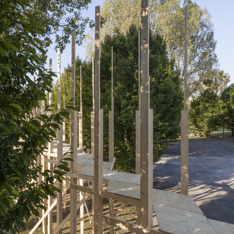 Upper Ground Level Yawning – Foto